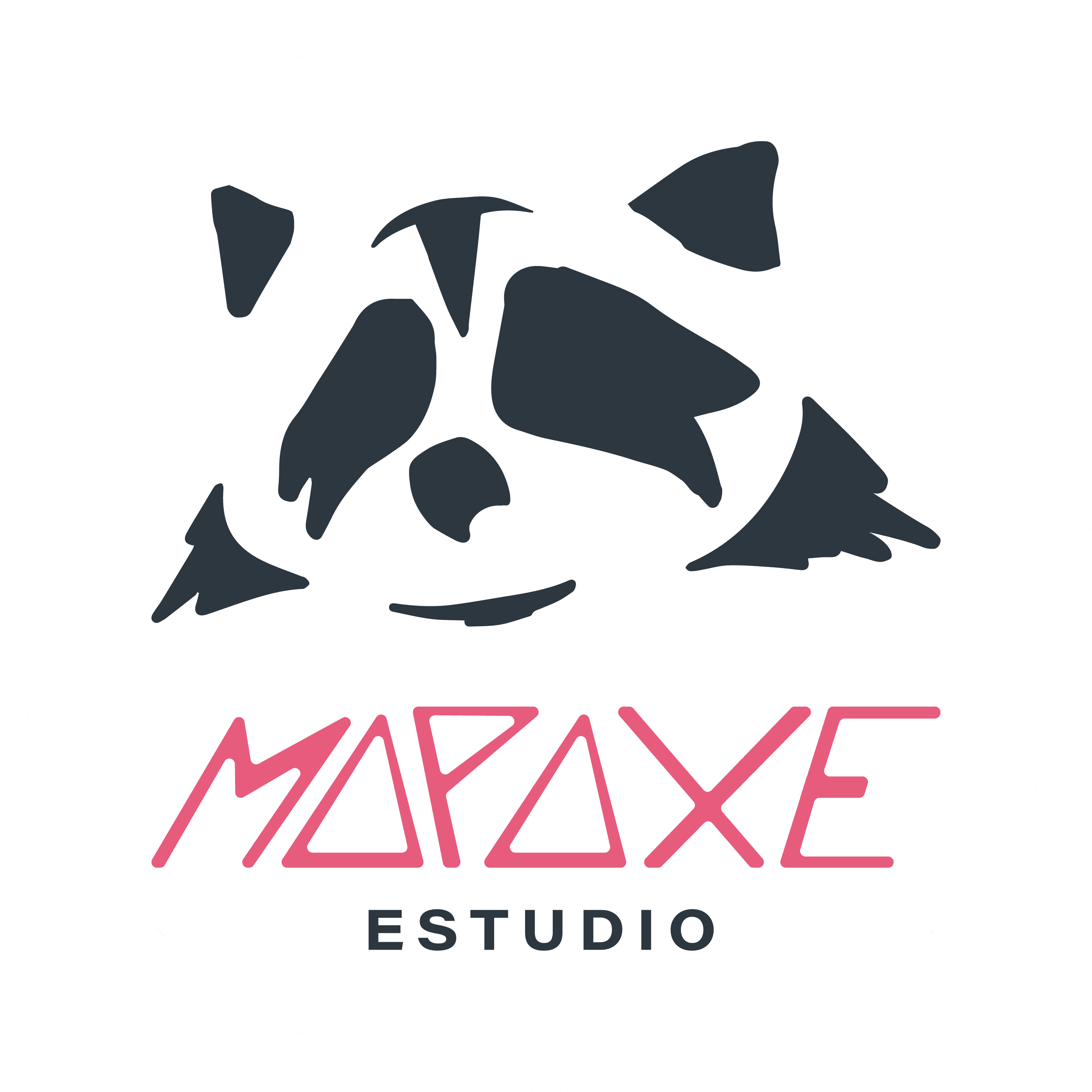 Imagen de perfil de Mapaxe